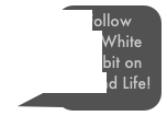 Follow the White Rabbit on Second Life!